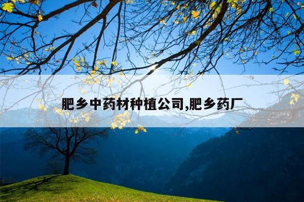 肥乡中药材种植公司,肥乡药厂