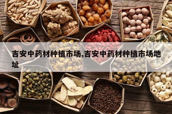吉安中药材种植市场,吉安中药材种植市场地址